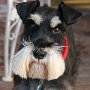 Meet your Posher, Catherine grace